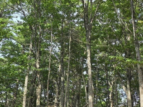 00 Pinnacle Road , Liberty, ME 04949