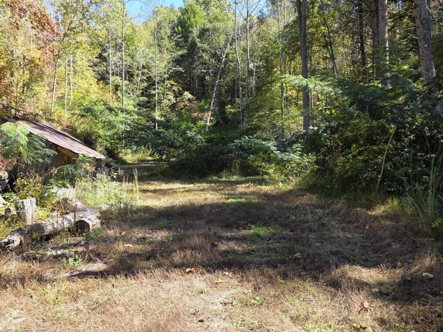 Property Image 18