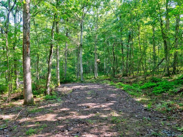 Lot 23 Perry Pond Road, Narrowsburg, NY 12764