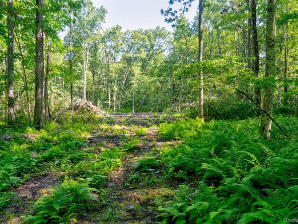 Lot 22 Perry Pond Road, Narrowsburg, NY 12764