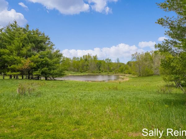 V/L 9 Mile Rd Road, Reed City, MI 49677