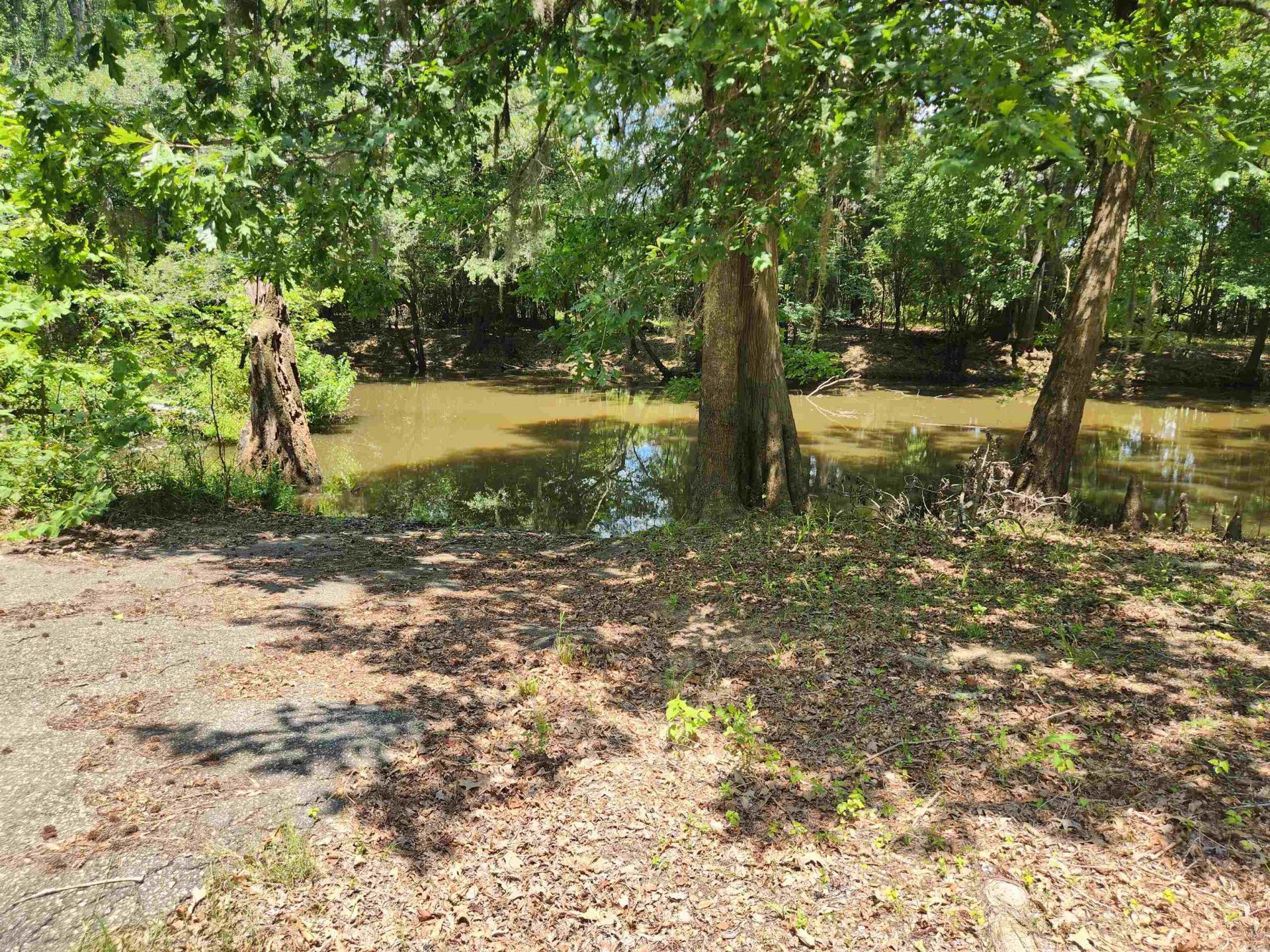 380 Bauer Trail  Photo 12