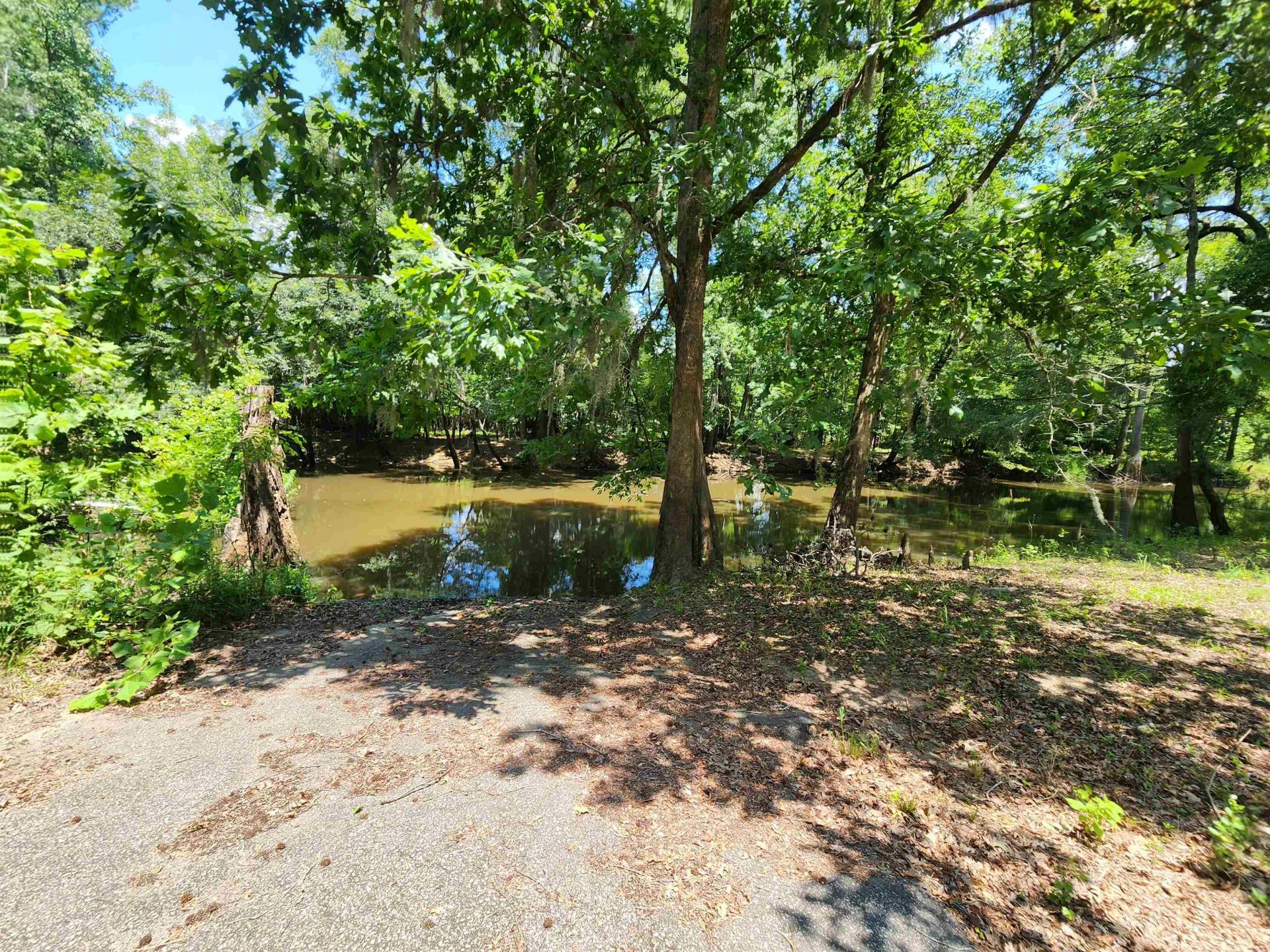 380 Bauer Trail  Photo 13