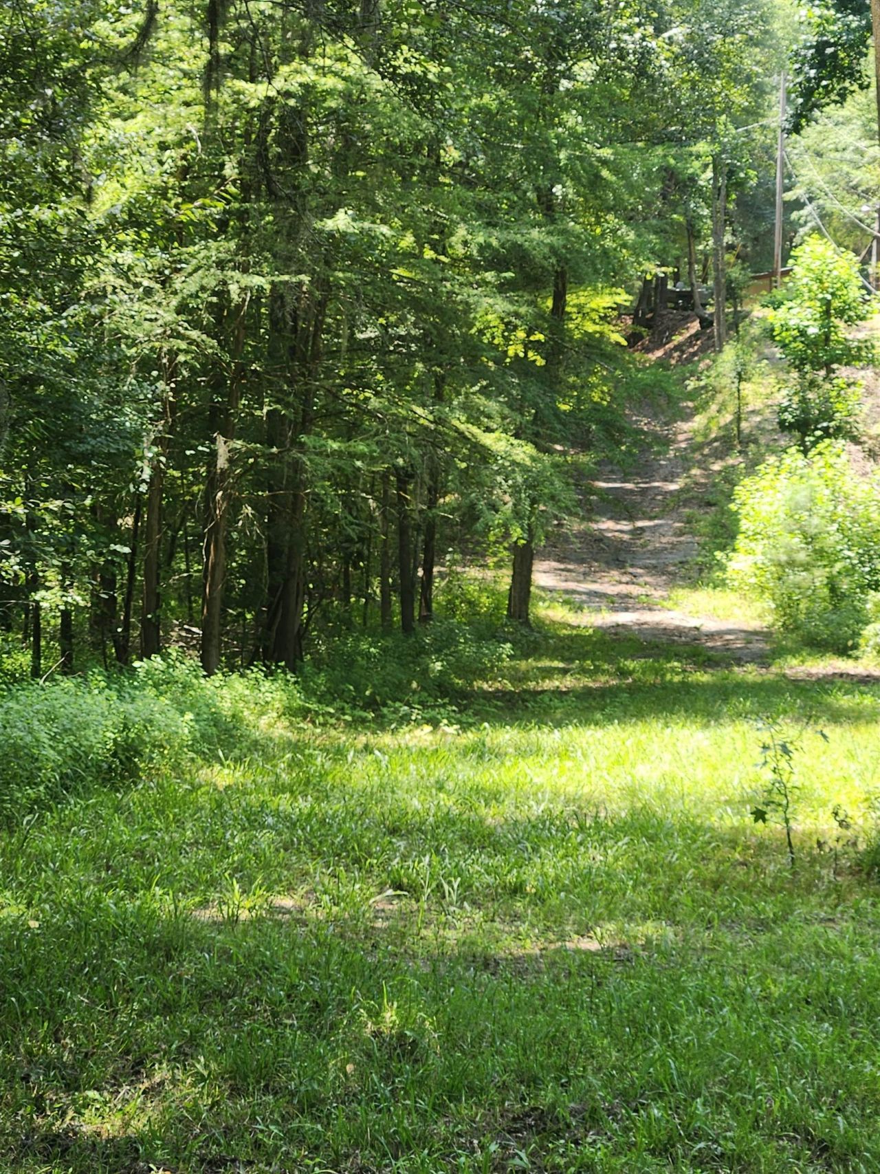 380 Bauer Trail  Photo 14