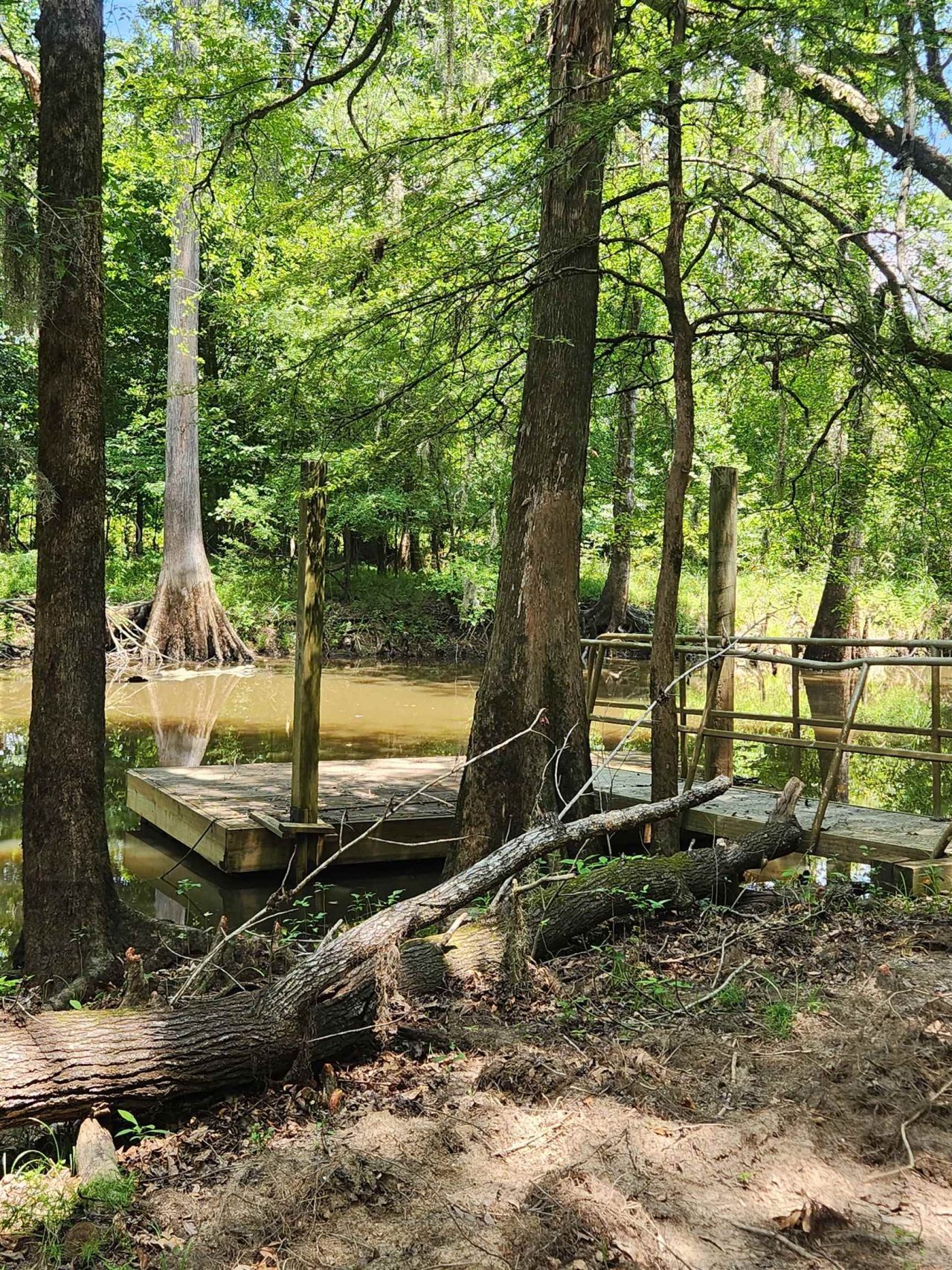 380 Bauer Trail  Photo 15