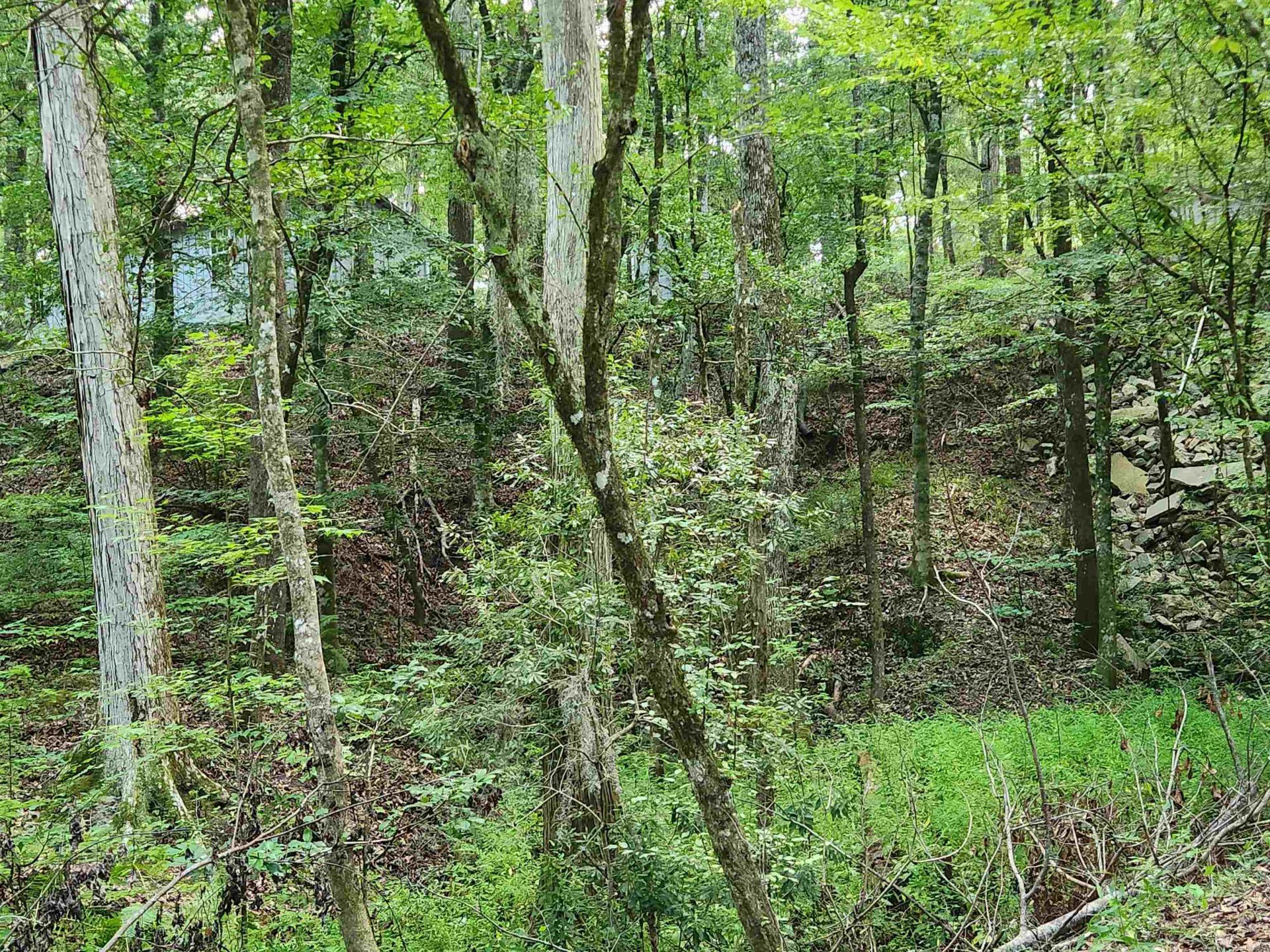 380 Bauer Trail  Photo 16
