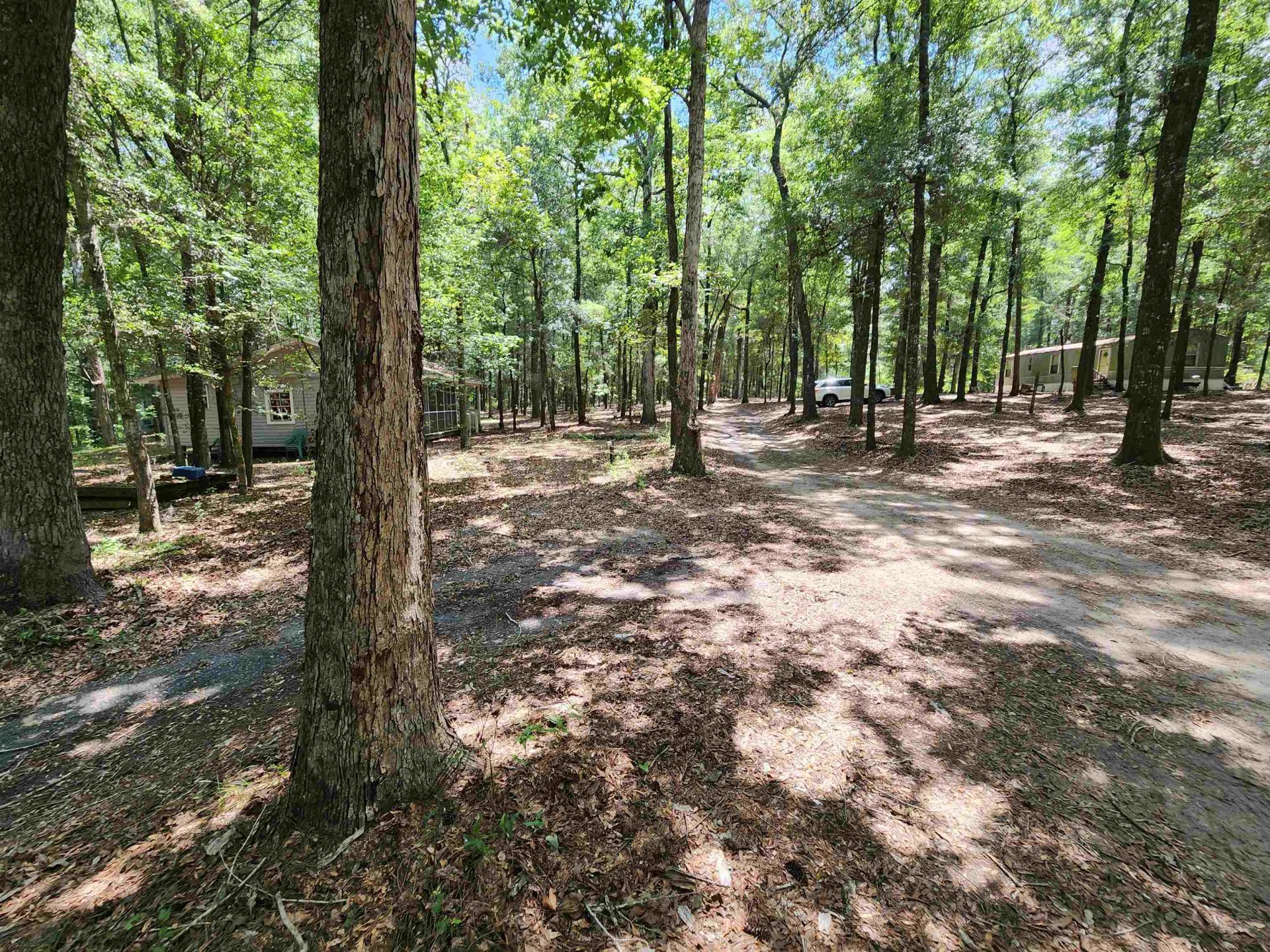380 Bauer Trail  Photo 17