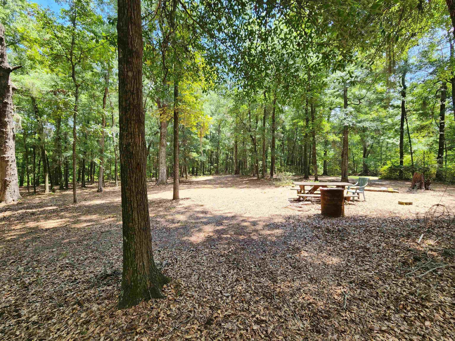 329 Bauer Trail Photo 10