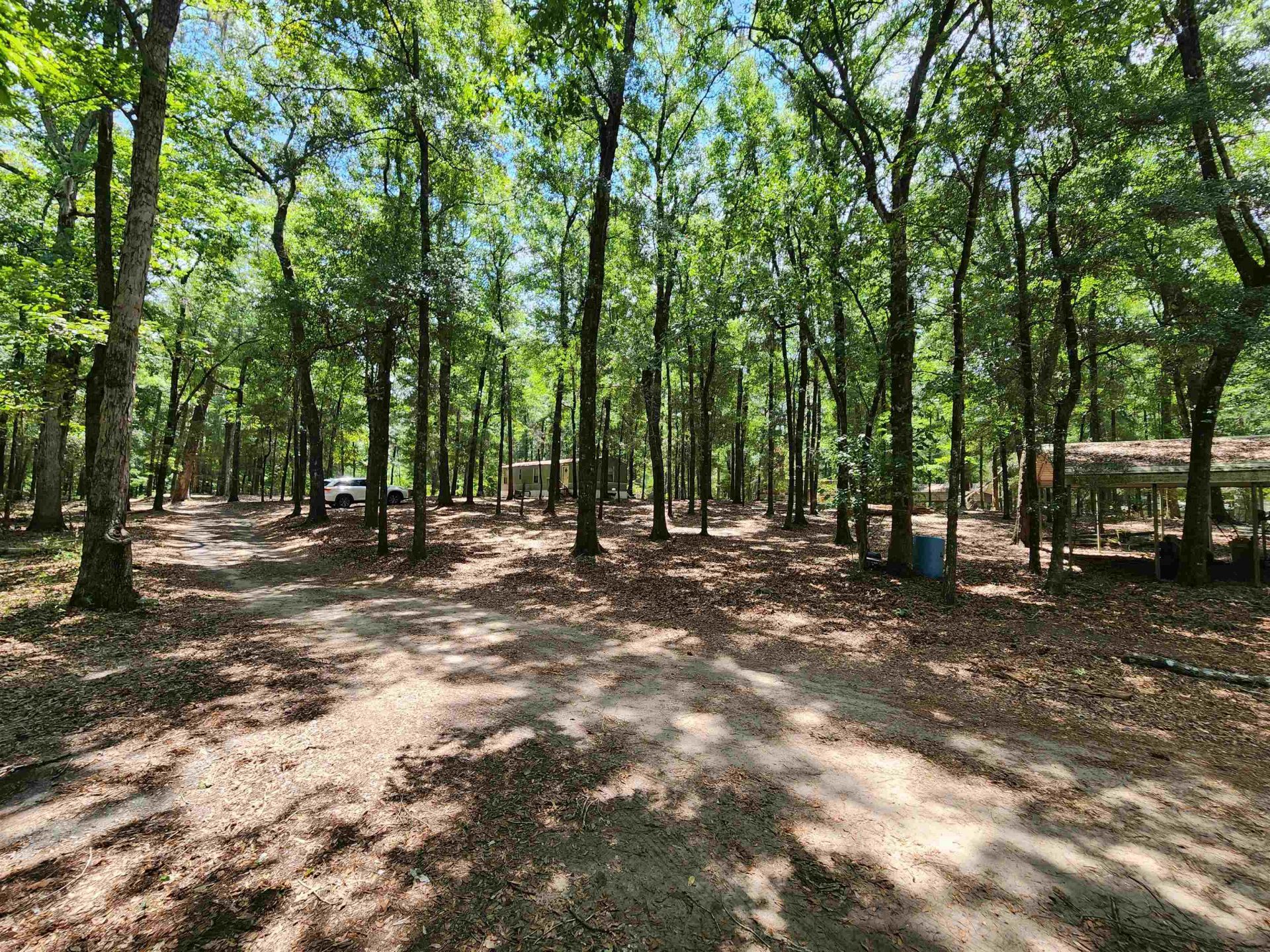 329 Bauer Trail Photo 7