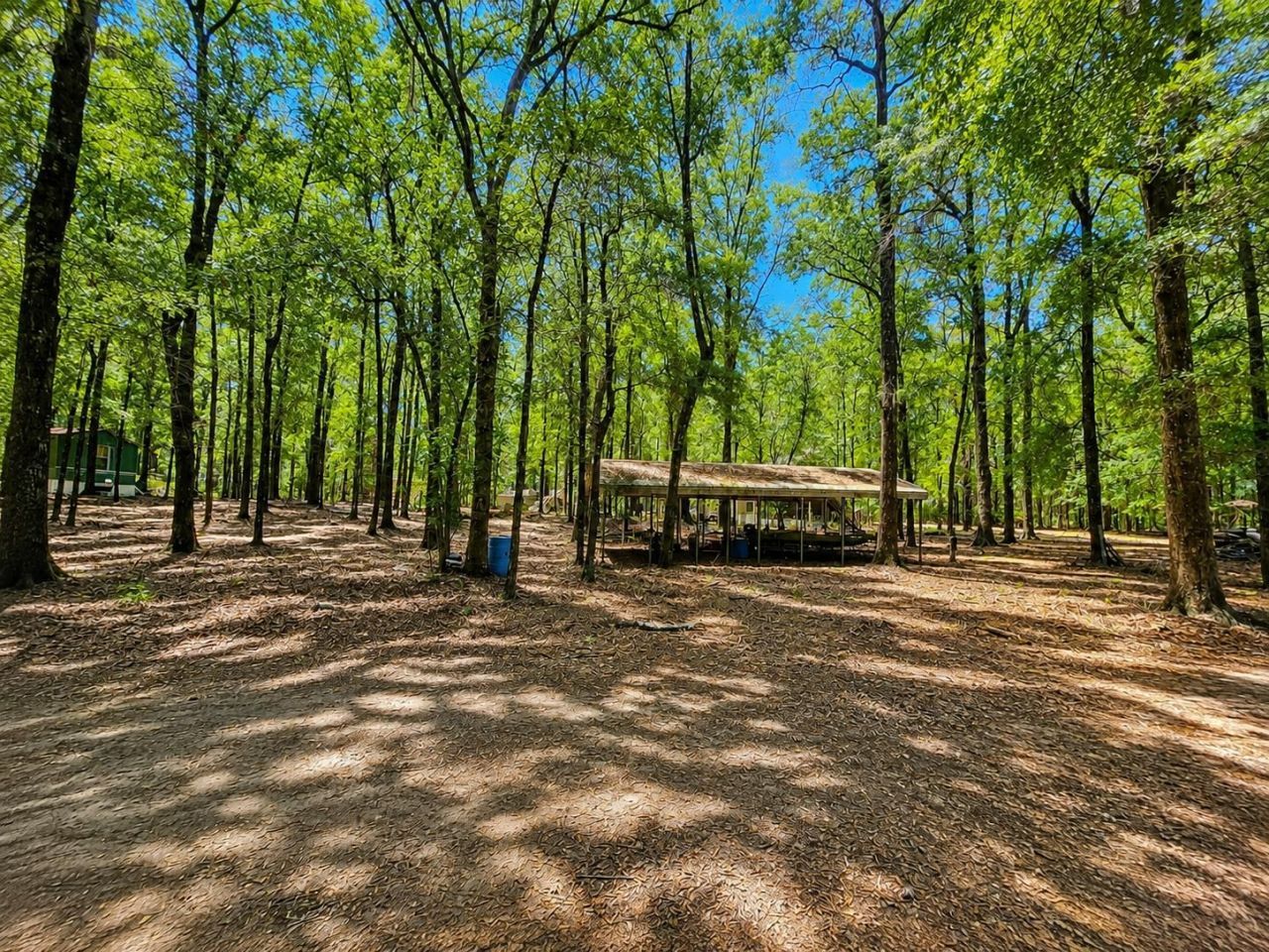 329 Bauer Trail Photo 8