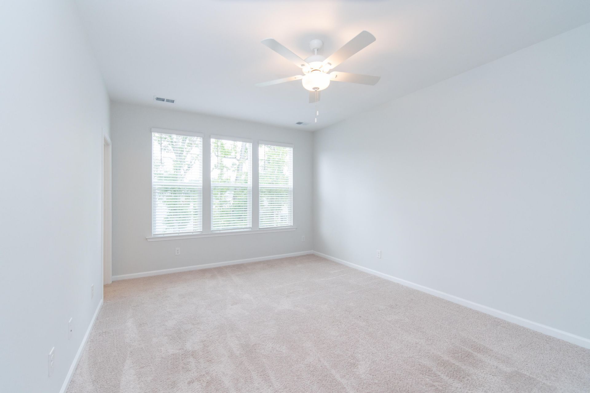 147 Omalley Drive Photo 12