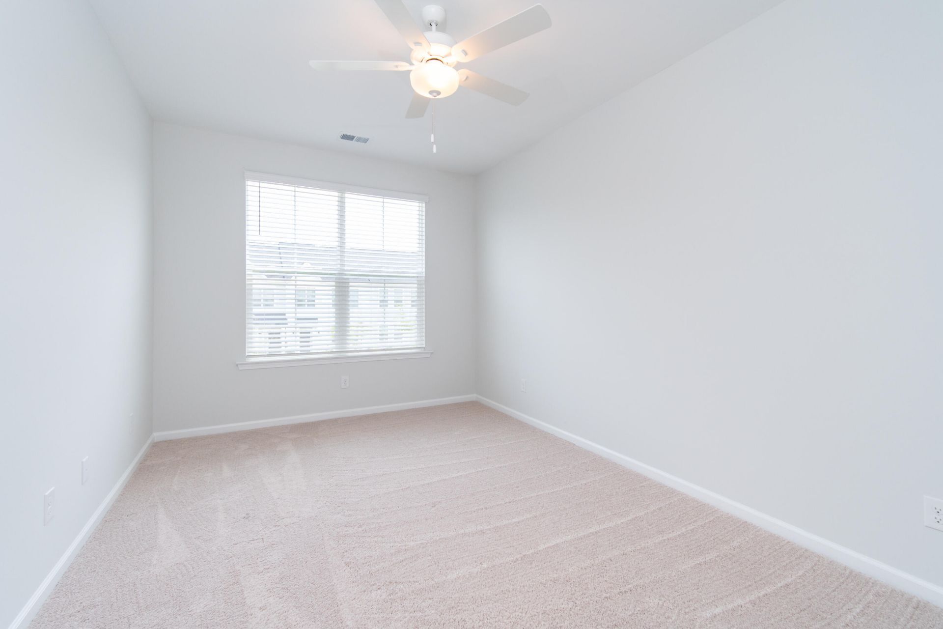 147 Omalley Drive Photo 21