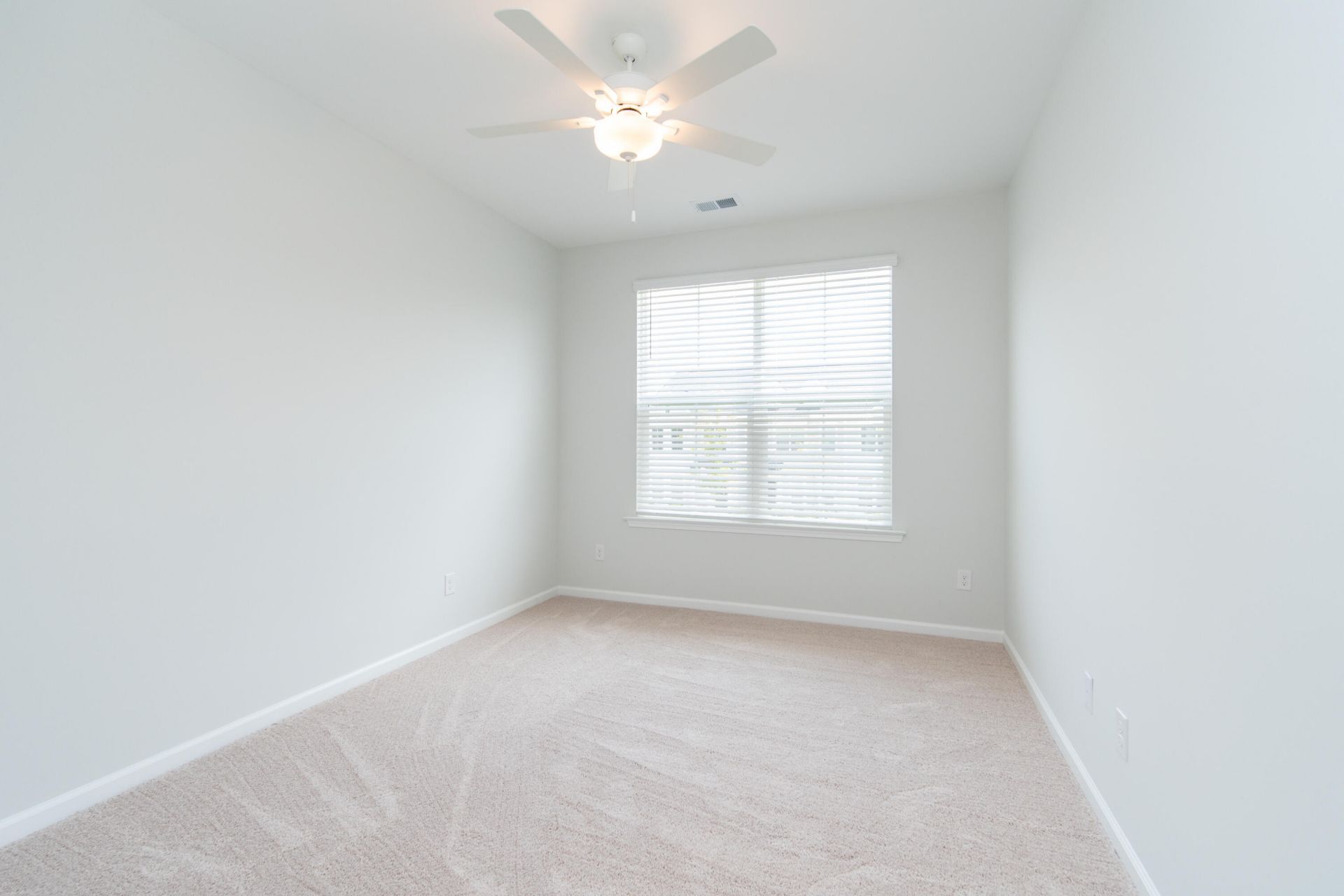 147 Omalley Drive Photo 23