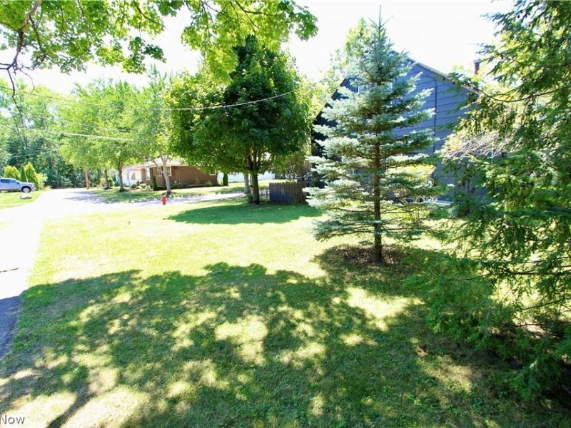 133 South Street, Medina, OH 44256 Photo 15