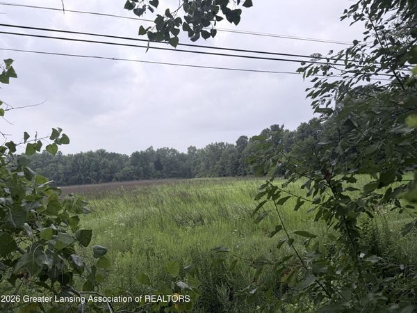 Parcel A Holt Highway, Dimondale, MI 48821