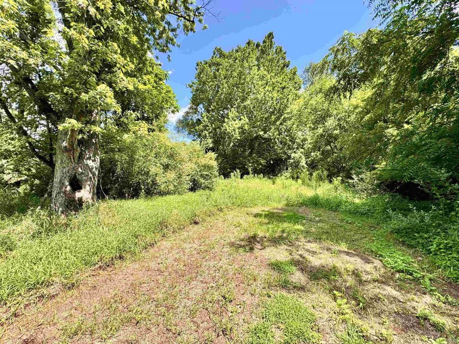 Property Image 29