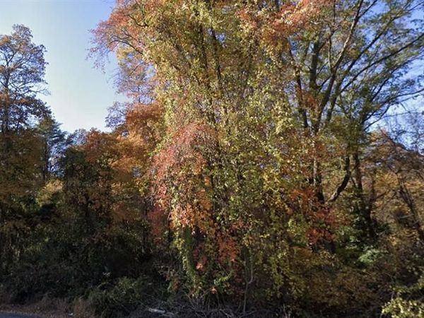 RIVER ROAD , BRYANS ROAD, MD 20616