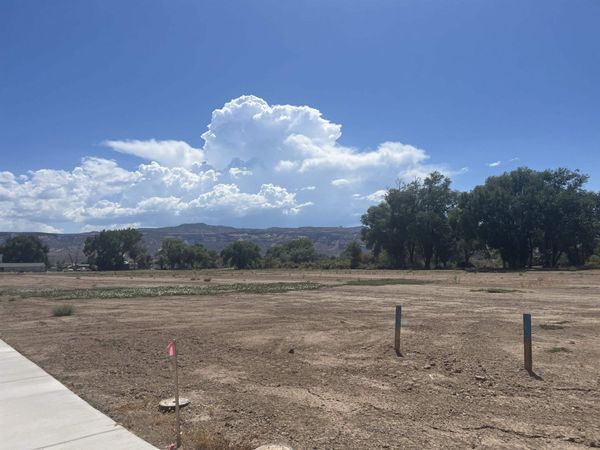 971 Hay Bale Court , Fruita, CO 81521