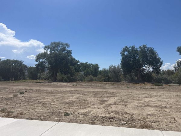 975 Hay Bale Court , Fruita, CO 81521