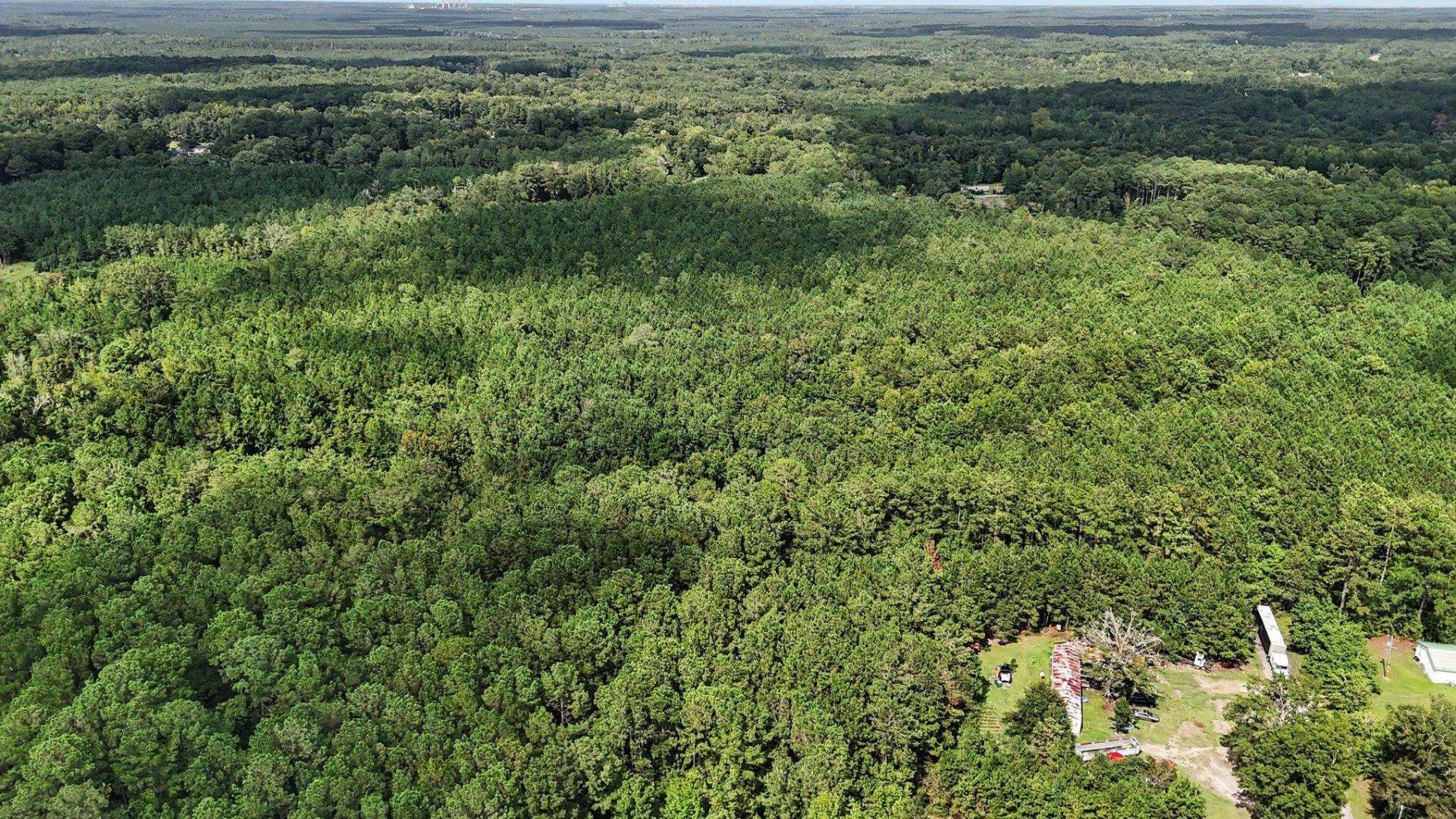 Tbd Rustwood Dr. Photo 10