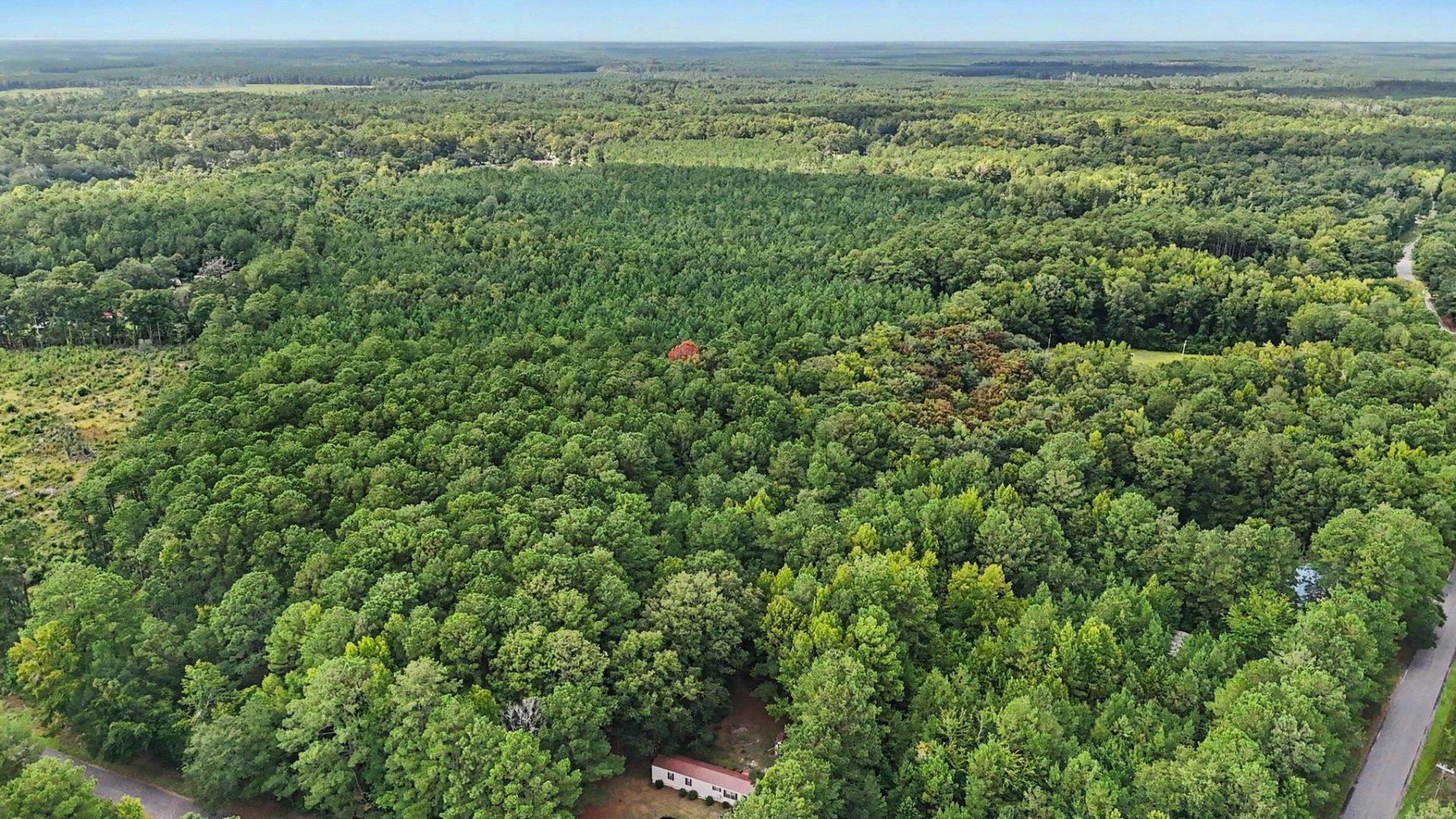 Tbd Rustwood Dr. Photo 8