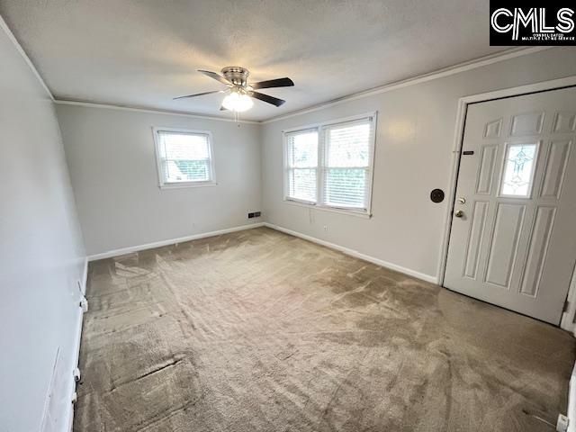 7509 Burdell Drive Photo 8