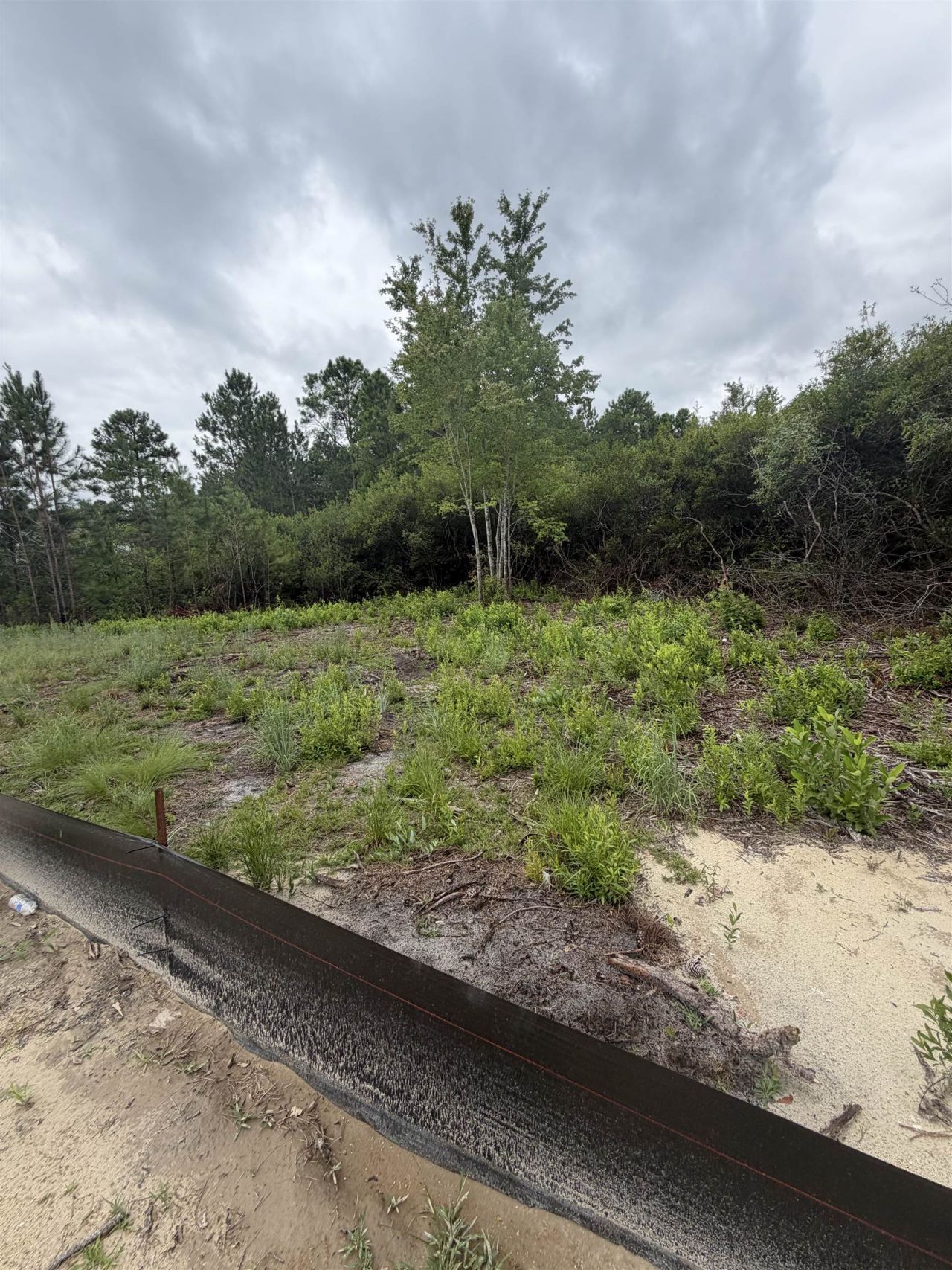 878 Sand Binder Dr. Photo 20