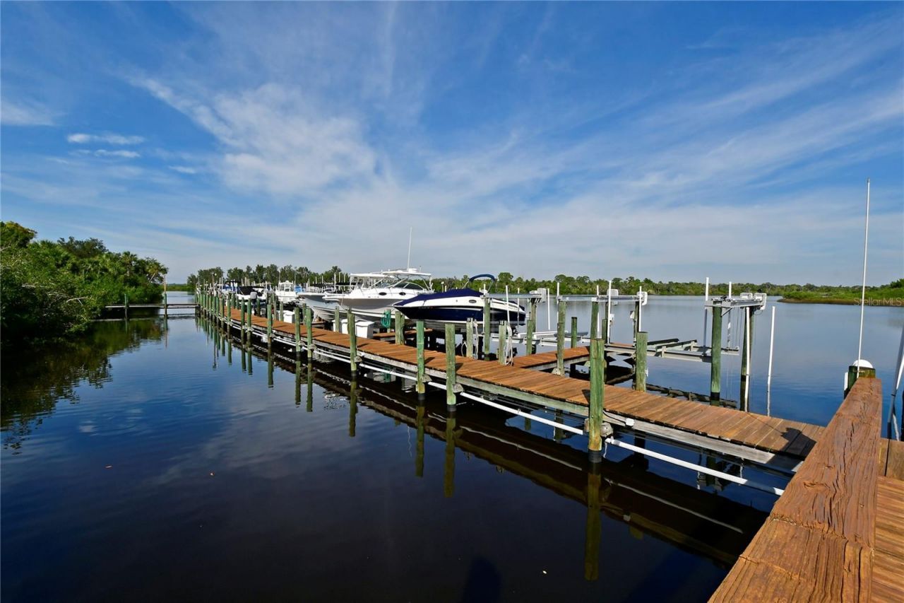 10625 Restoration Terrace, Bradenton, FL 34212 Photo