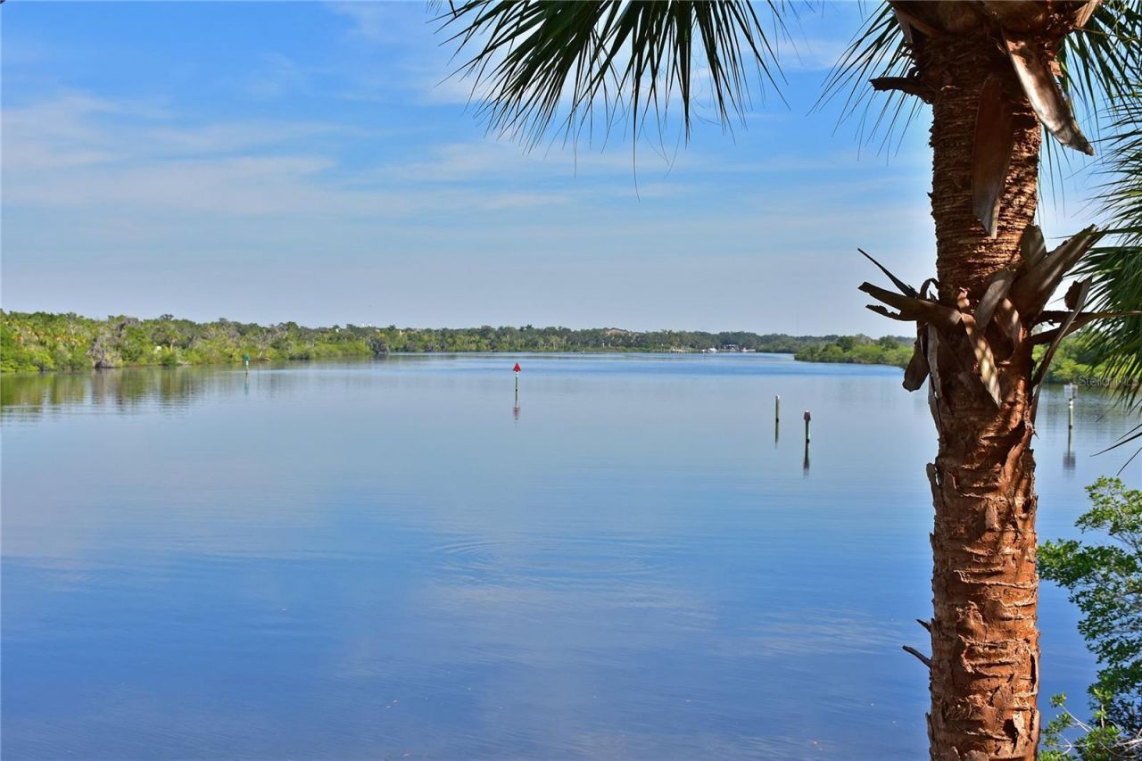 10625 Restoration Terrace, Bradenton, FL 34212 Photo