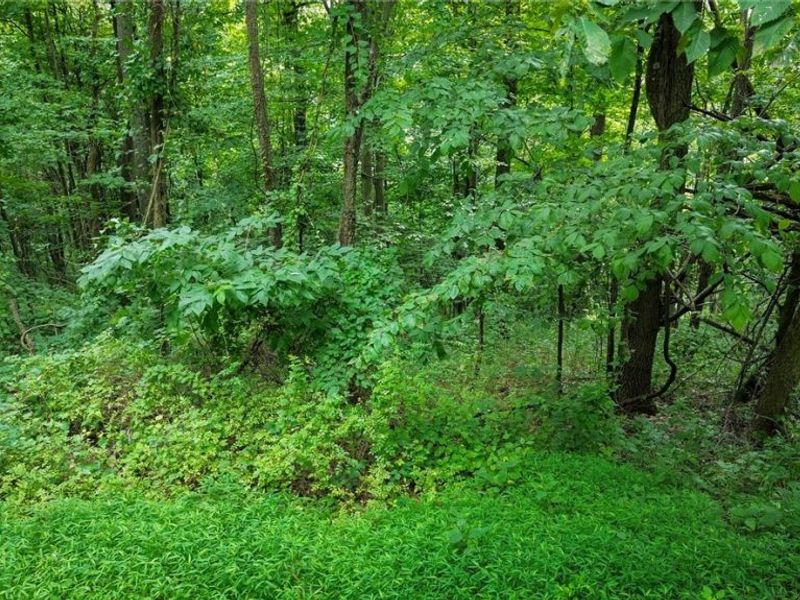 Windy Ridge , Dennison, OH 44621 Photo 21