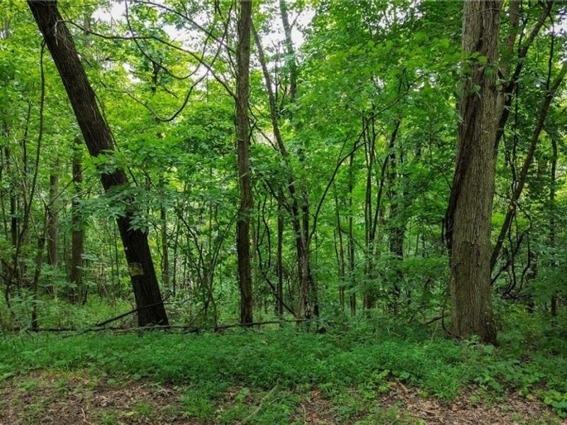 Windy Ridge , Dennison, OH 44621 Photo 22