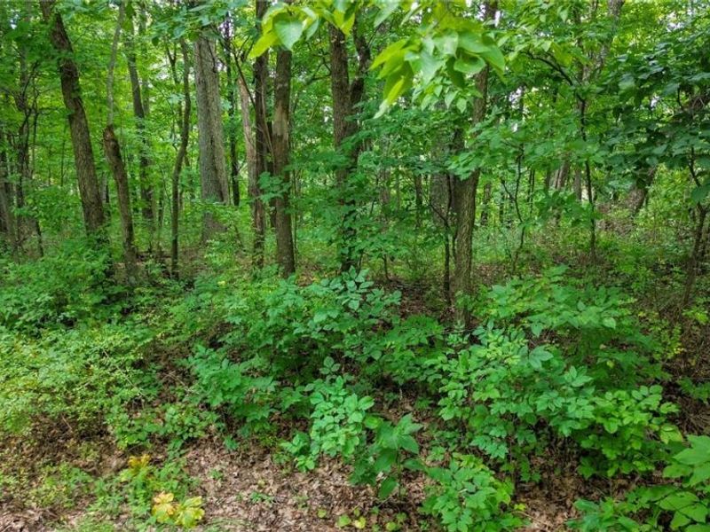 Windy Ridge , Dennison, OH 44621 Photo 23