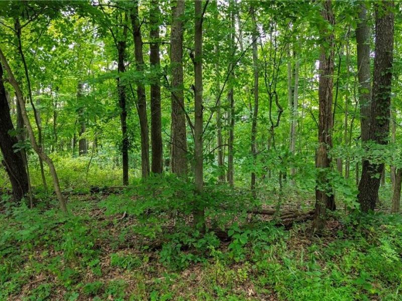 Windy Ridge , Dennison, OH 44621 Photo 24