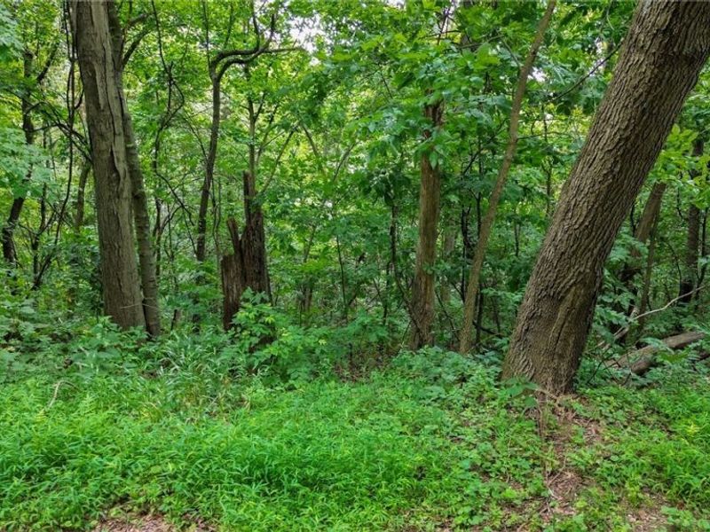 Windy Ridge , Dennison, OH 44621 Photo 25