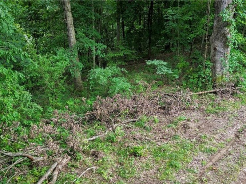 Windy Ridge , Dennison, OH 44621 Photo 27
