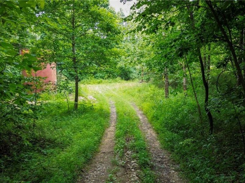 Windy Ridge , Dennison, OH 44621 Photo 30
