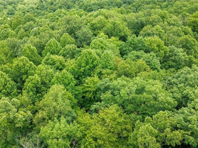 Windy Ridge , Dennison, OH 44621 Photo 44