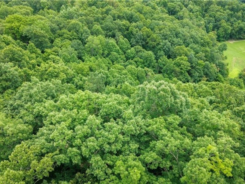 Windy Ridge , Dennison, OH 44621 Photo 45