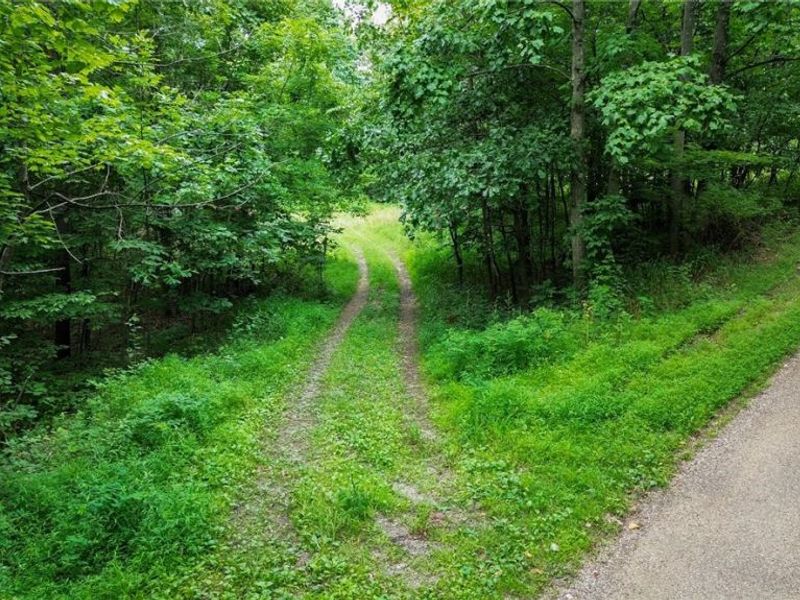 Windy Ridge , Dennison, OH 44621 Photo 29