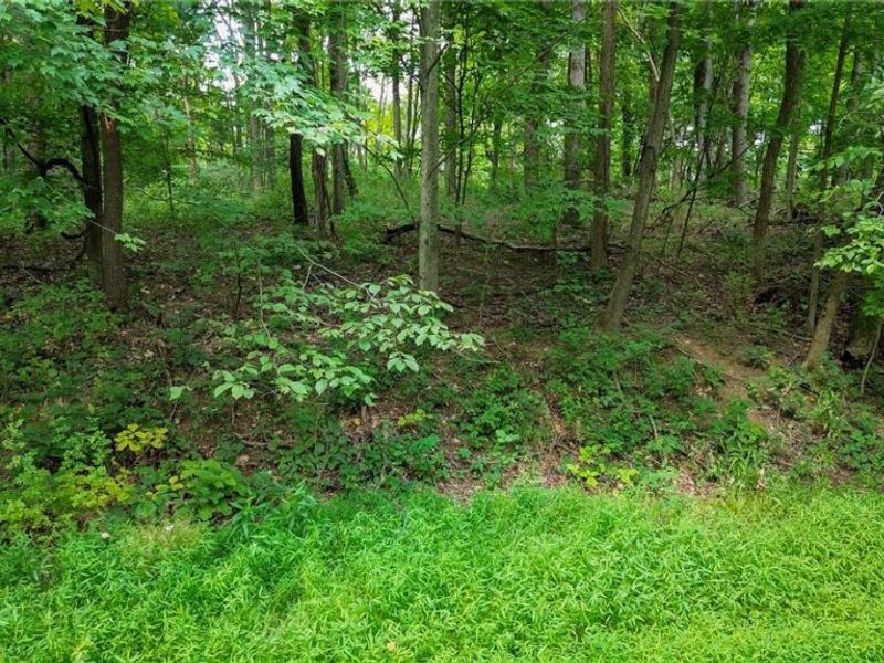 Windy Ridge , Dennison, OH 44621 Photo 19