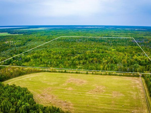 12479 Battle Road NE, Blackduck, MN 56630