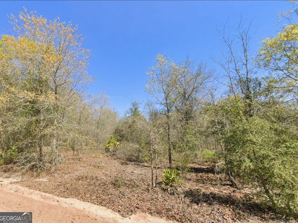 0 Mixon Lane, Douglas, GA 31535
