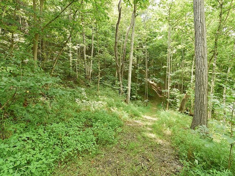182 Sunfish Creek Road, Unit 1, Piketon, OH 45661 Photo 28