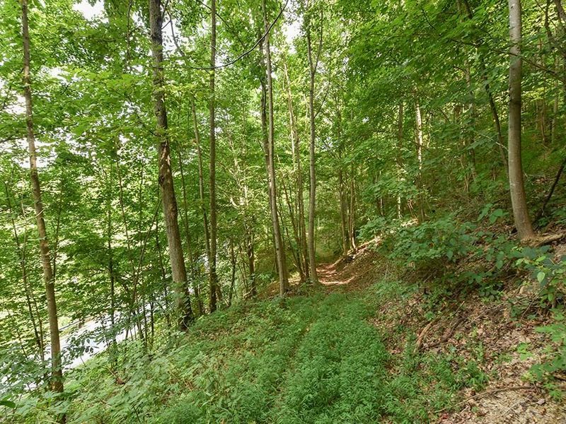 182 Sunfish Creek Road, Unit 1, Piketon, OH 45661 Photo 29