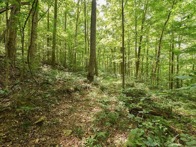 182 Sunfish Creek Road, Unit 1, Piketon, OH 45661 Photo 30