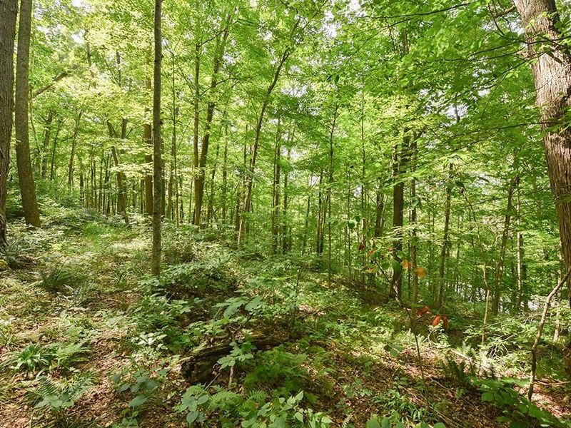 182 Sunfish Creek Road, Unit 1, Piketon, OH 45661 Photo 31