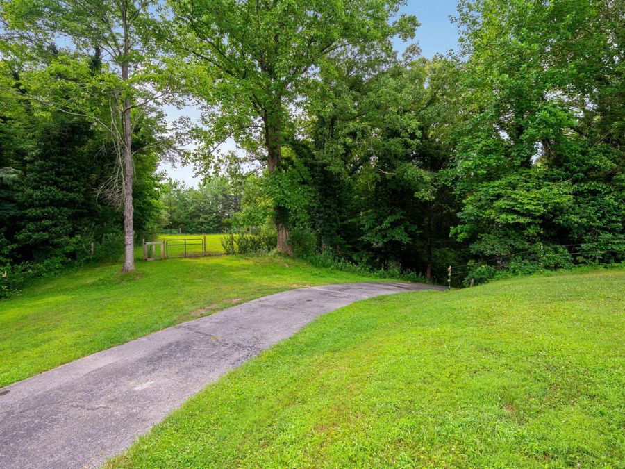 Property Image 49