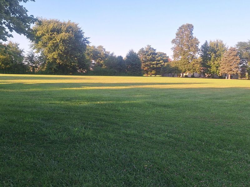 4981 Benzler Road, Marion, OH 43302 Photo 25