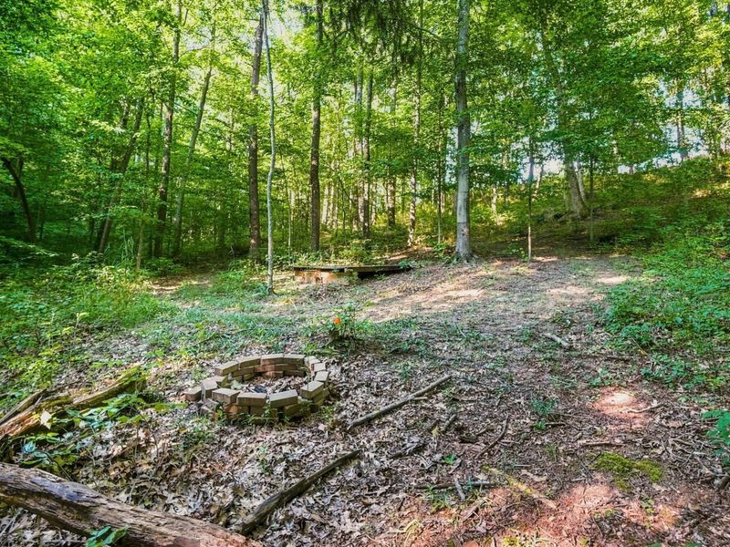 20731 Ohio 664 , South Bloomingville, OH 43152 Photo 92