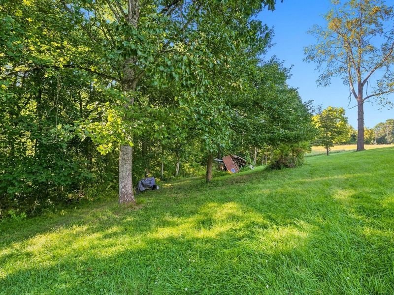 20731 Ohio 664 , South Bloomingville, OH 43152 Photo 93